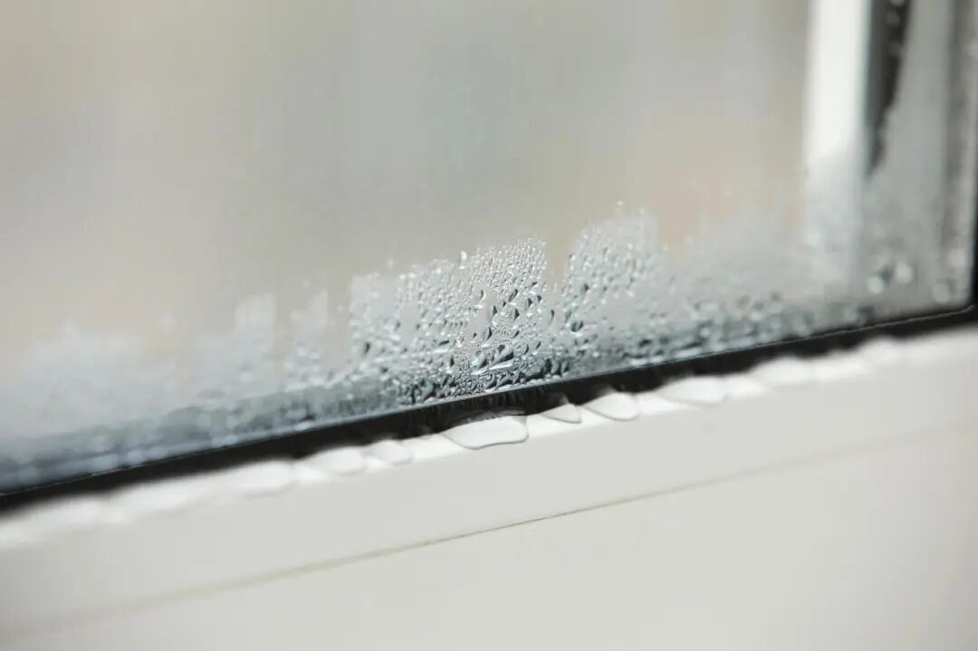 1765523118850425.jpg 9180f8606e794304a6d6804748fd85e1.jpg